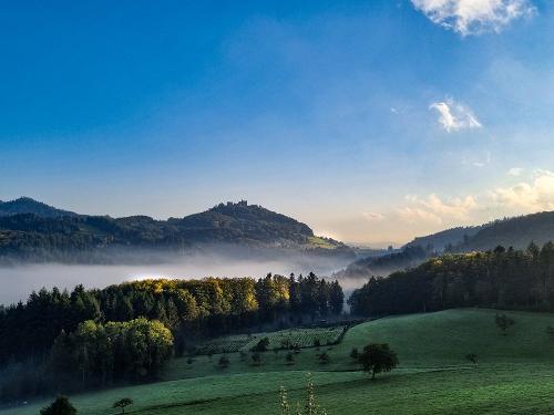 Morgennebel