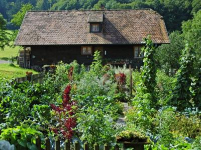 Bauerngarten im Sommer