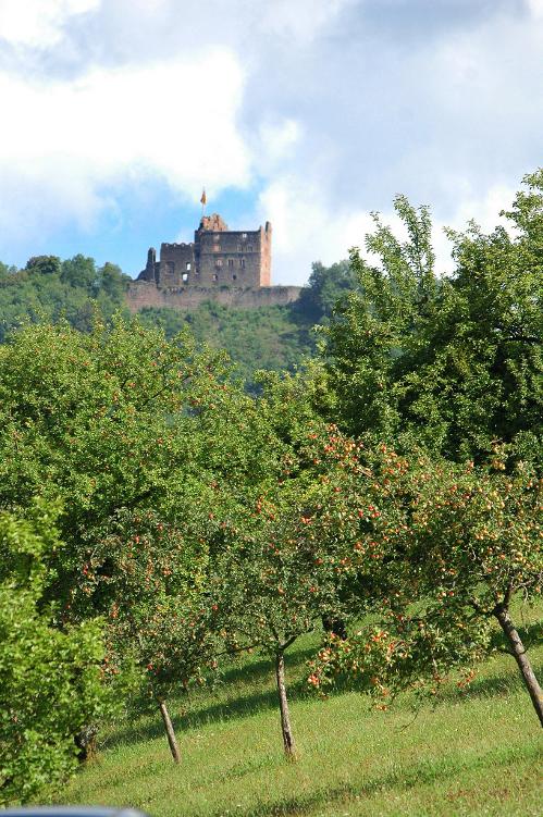 Blick auf die Burgruine Geroldseck