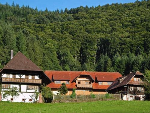 Der Haagseppenhof im Schwarzwald Der Haagseppenhof im Schwarzwald