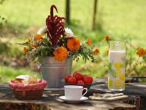 Feines Vesper mit Hofprodukten Feines Vesper mit Hofprodukten