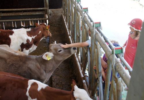Unsere Tiere