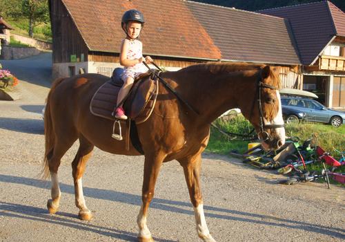 Reiten