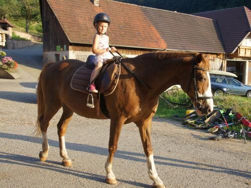 Stolze Reiterin Stolze Reiterin