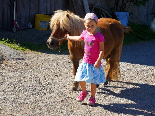 Pony ausführen Pony ausführen