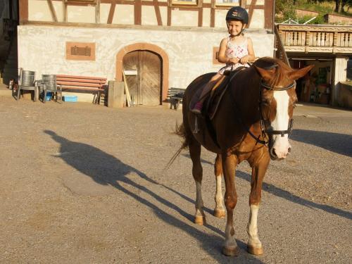 Hoch zu Ross Hoch zu Ross