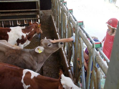 Auf Tuchfühlung Auf Tuchfühlung