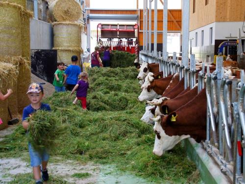 Im Futtergang Im Futtergang