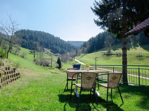 Röcklehof-Kirnbach-Kinzigtal-Schwarzwald-STK-18