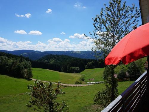 Fewo Schmetterlingswiese