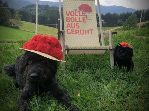 Schwarzwald-fans