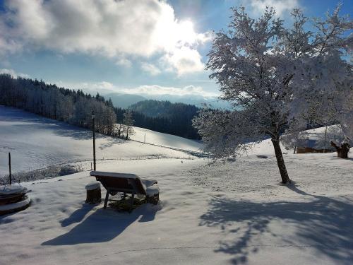 Winterpanorama Winterpanorama