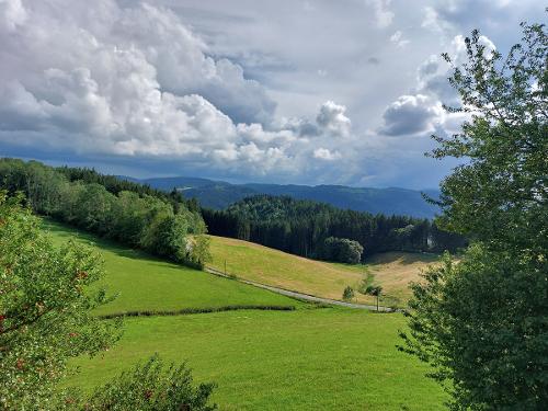 Weitblick Weitblick