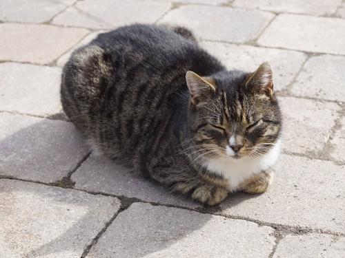 Unser Bäpperle