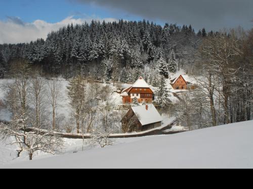 Winterbild