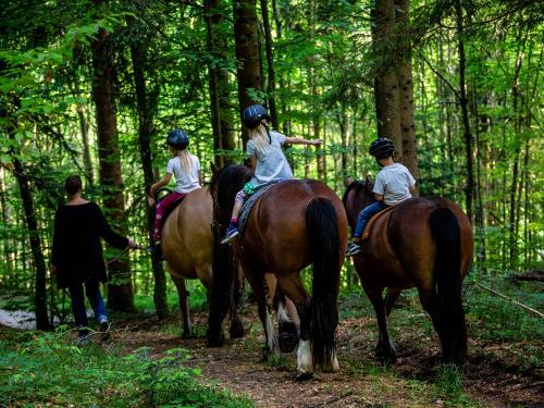 geführte Ponytour