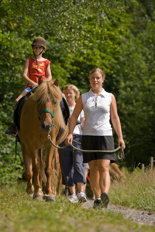 Reiten
