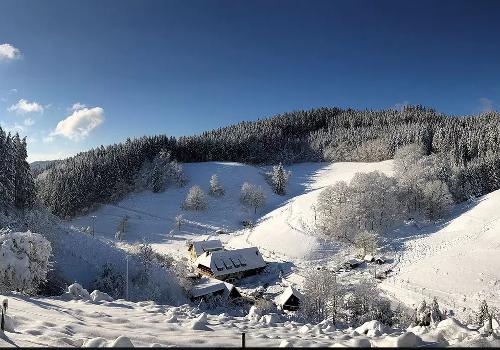winter