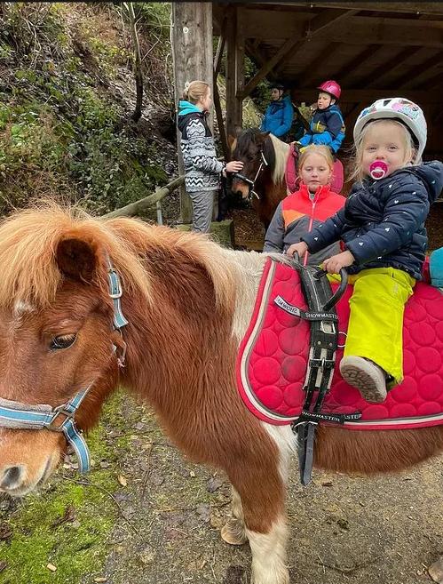 ponyreiten