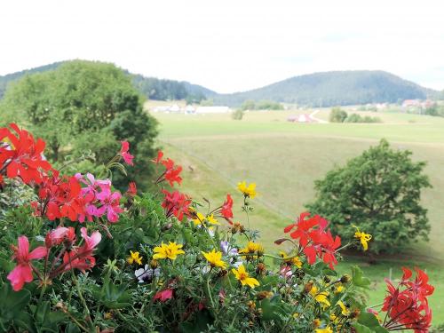 Aussicht vom Balkon