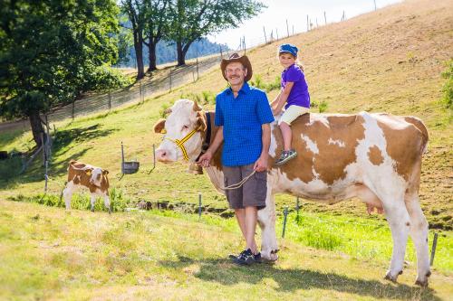 Mit den Kühen auf der Weide
