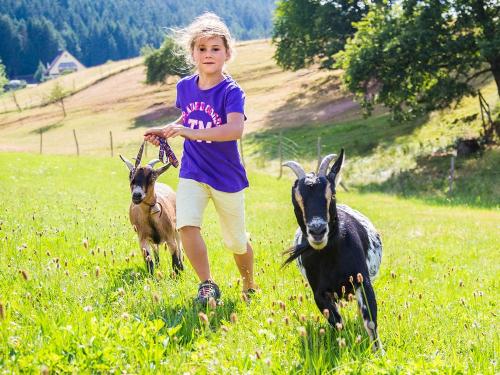 Auf geht´s - zum gemeinsamen Ziegenausflug