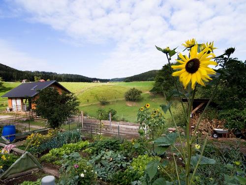Blühender Bauerngarten