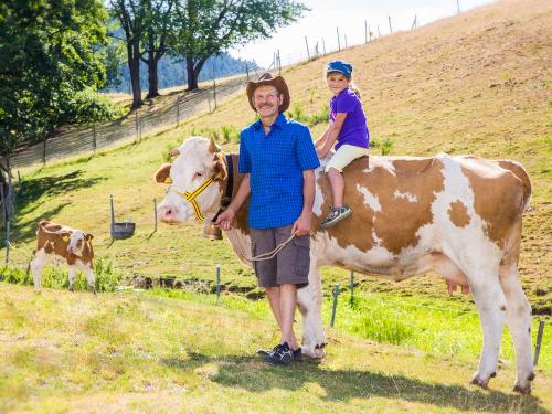 Mit den Kühen auf der Weide