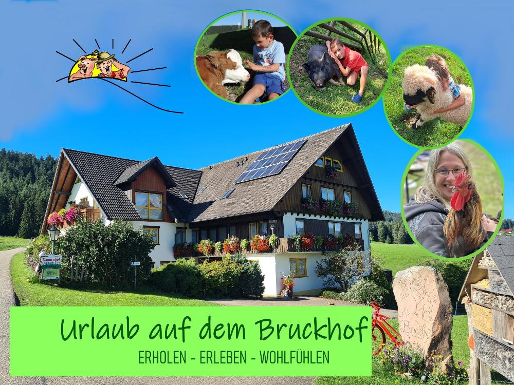 Endgültiges Titelbild mit Logo Endgültiges Titelbild mit Logo