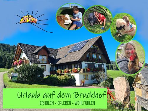 Endgültiges Titelbild mit Logo Endgültiges Titelbild mit Logo