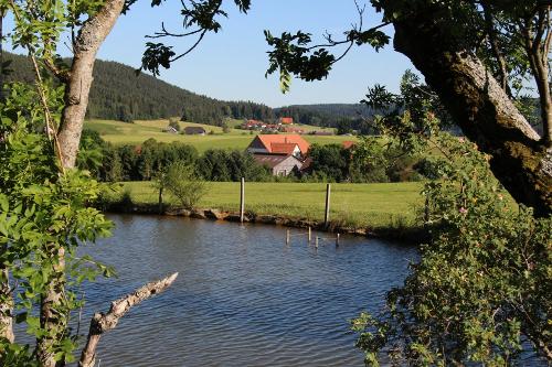 Fischweiher