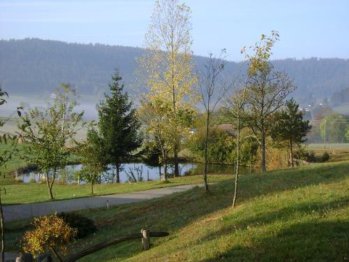 Kienbronn