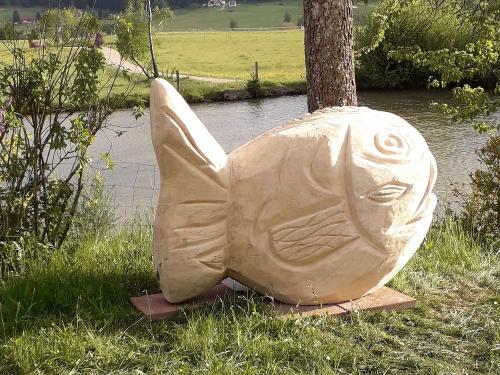 Fisch am Kienbronner Weiher