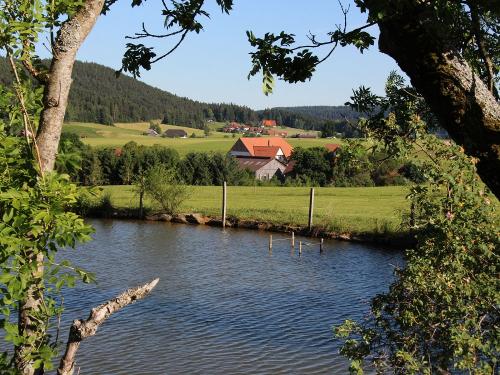 Fischweiher