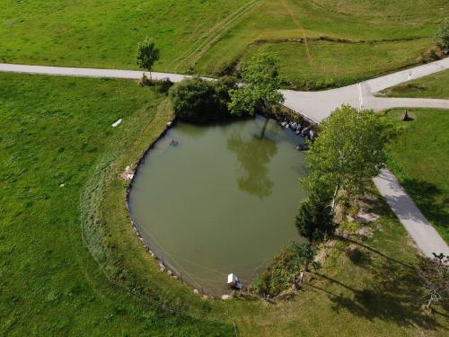 Weiher