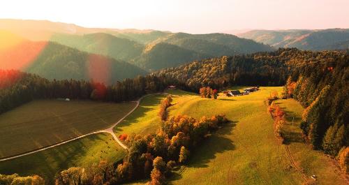 dji_00544