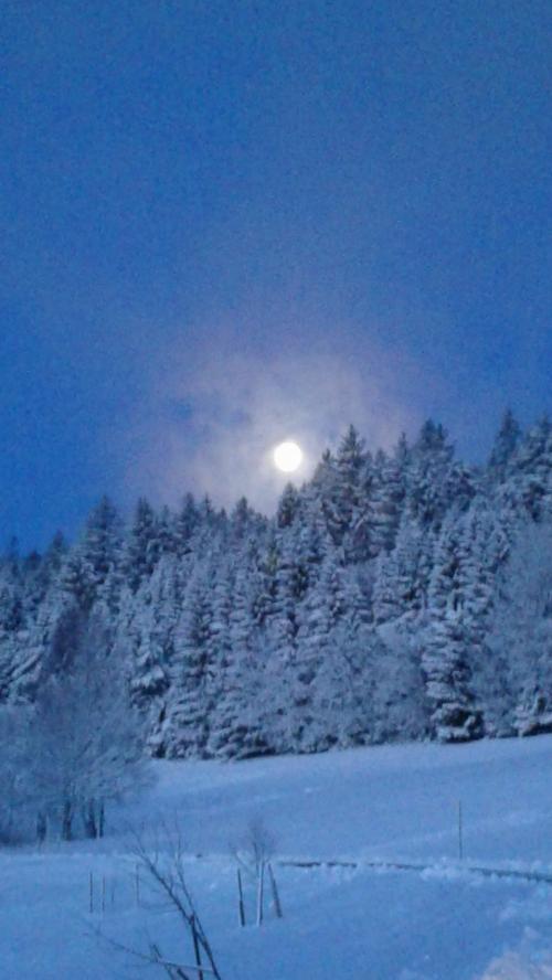 fotossep.20181441