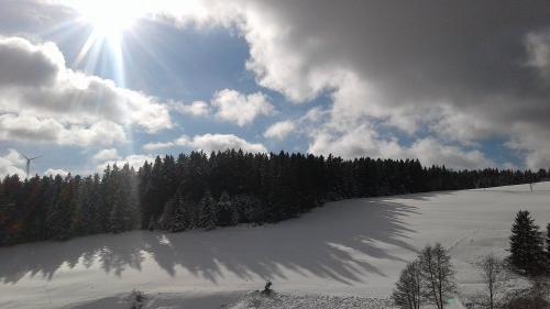 fotossep.20181453