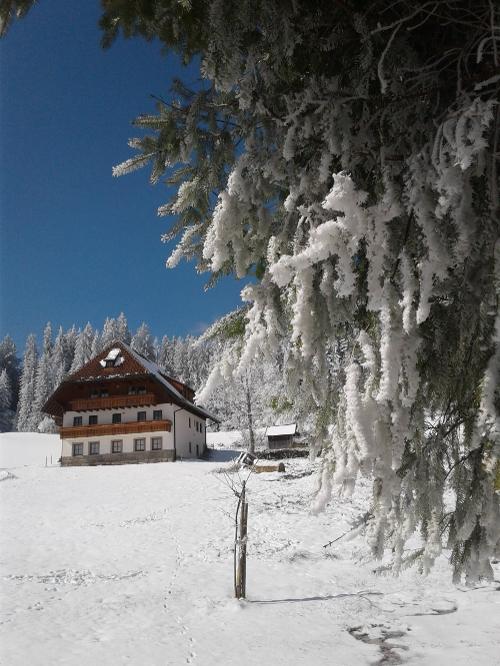 fotossep.20181812