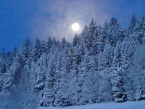 Der Schwarzwald im Winter Der Schwarzwald im Winter