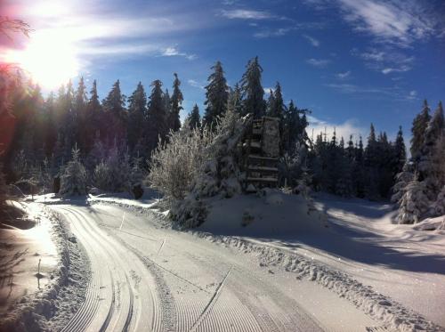 winterweg