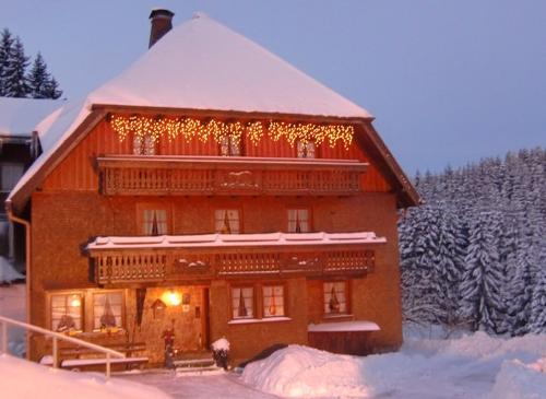 Winter