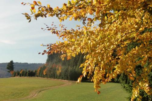 herbst