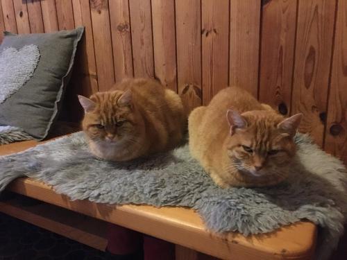 Peterchen und Paulchen