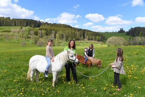 Unsere Ponys