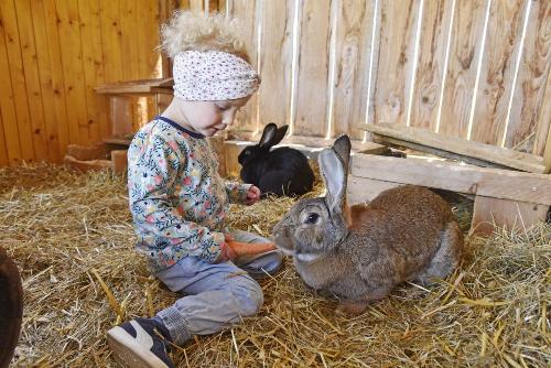 Unsere Hasen