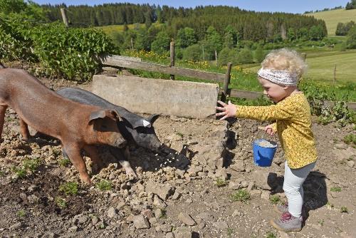 Unsere Schweine