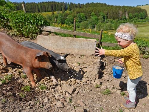 Unsere Schweine