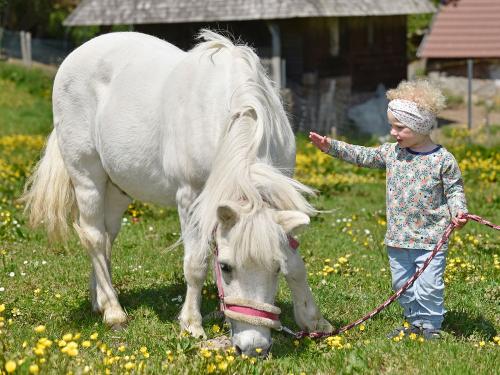 Unser Pony Robby