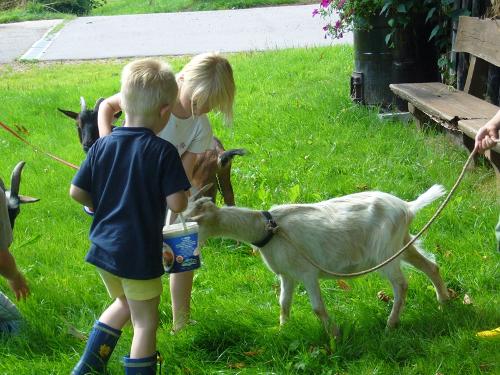 Kinder mit Ziegen